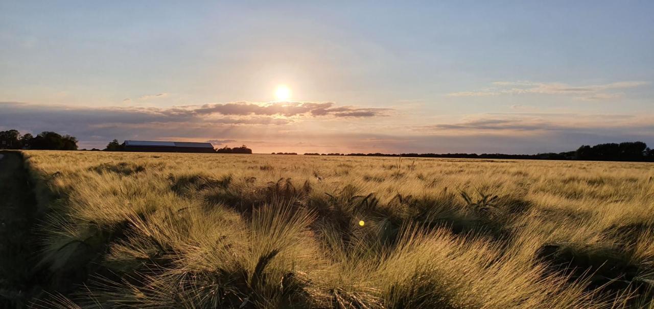Jugendherberge Fehmarn Exteriör bild